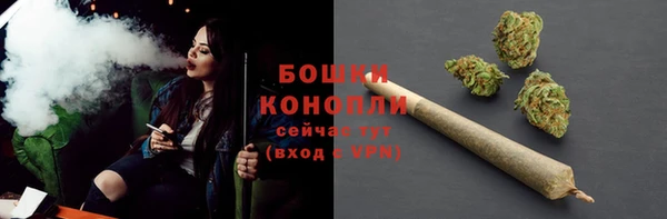 ALPHA PVP Снежинск